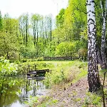 Kurort Mirowice-domek W Lesie, Z Balia Z Jacuzzi I Hydromasazem *