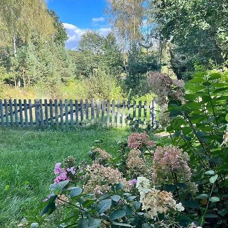 Kurort Mirowice-domek W Lesie, Z Balia Z Jacuzzi I Hydromasazem