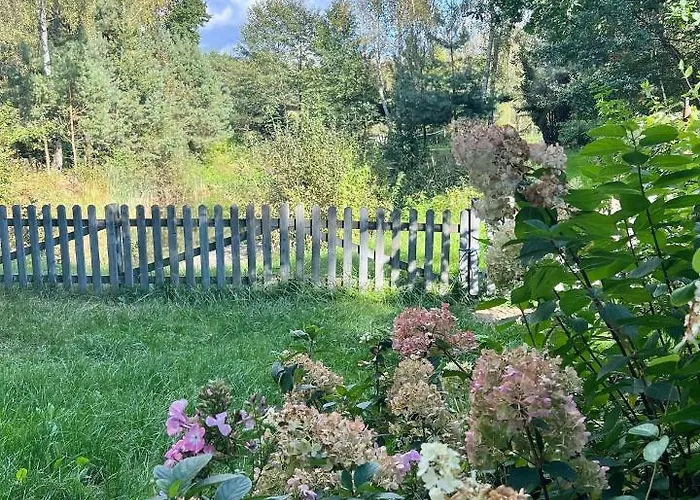 Kurort Mirowice-domek W Lesie, Z Balia Z Jacuzzi I Hydromasazem