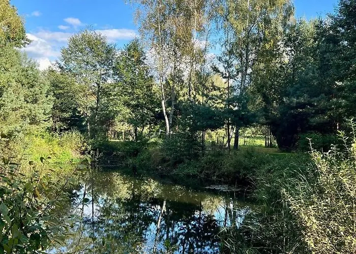 Holiday home Kurort Mirowice-domek W Lesie, Z Balia Z Jacuzzi I Hydromasazem *