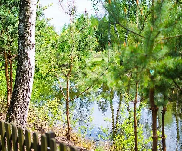 Kurort Mirowice-domek W Lesie, Z Balia Z Jacuzzi I Hydromasazem * Mirowice