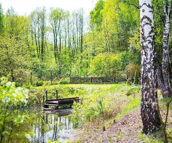 Kurort Mirowice-domek W Lesie, Z Balia Z Jacuzzi I Hydromasazem *